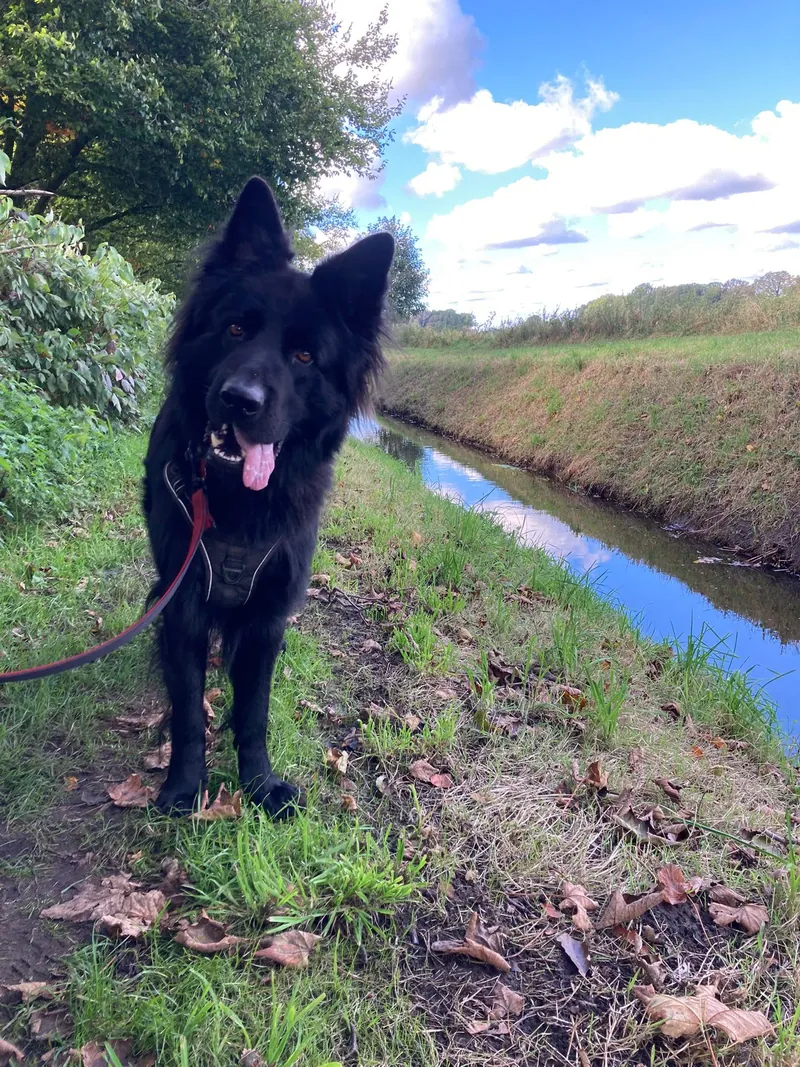 Wandelupdate